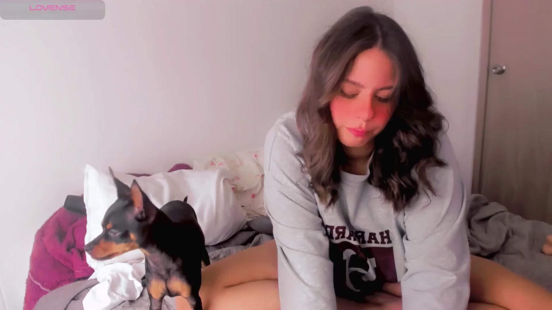 Gallery image thumbnail from ABlackBee's myfreecams stream on, 06/12/2025, 14:13 image 18 of 20