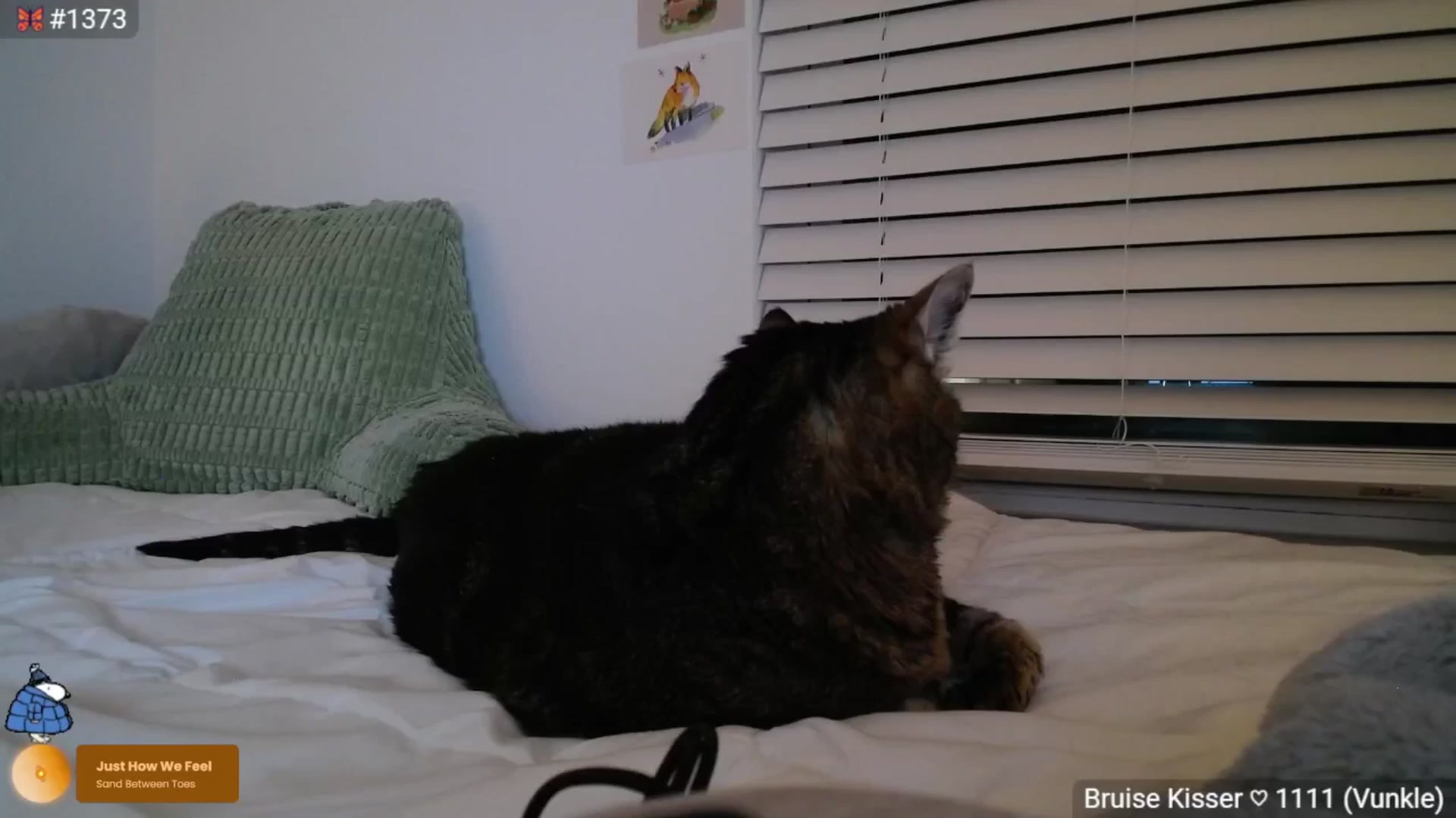 Gallery image thumbnail from ADRIANNNNNNN's myfreecams stream on, 07/29/2025, 02:17 image 6 of 20