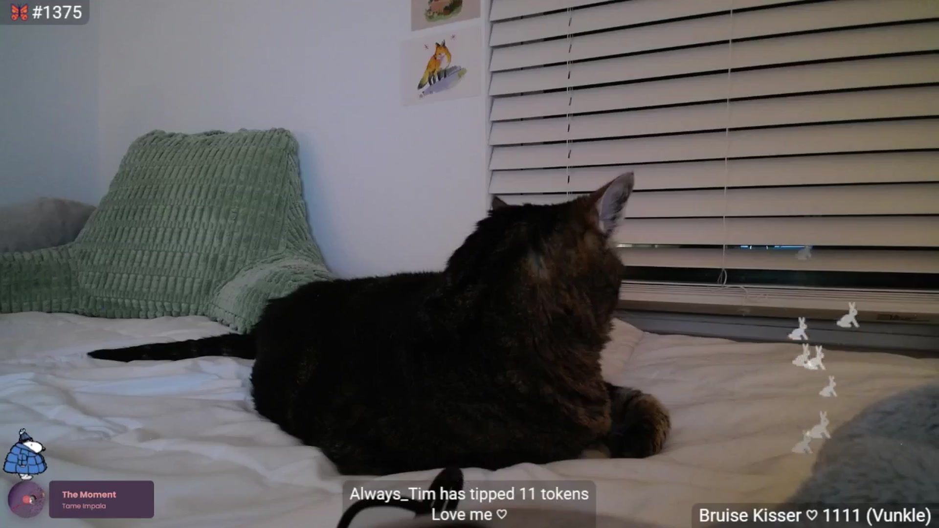 Gallery image thumbnail from ADRIANNNNNNN's myfreecams stream on, 07/29/2025, 02:17 image 5 of 20