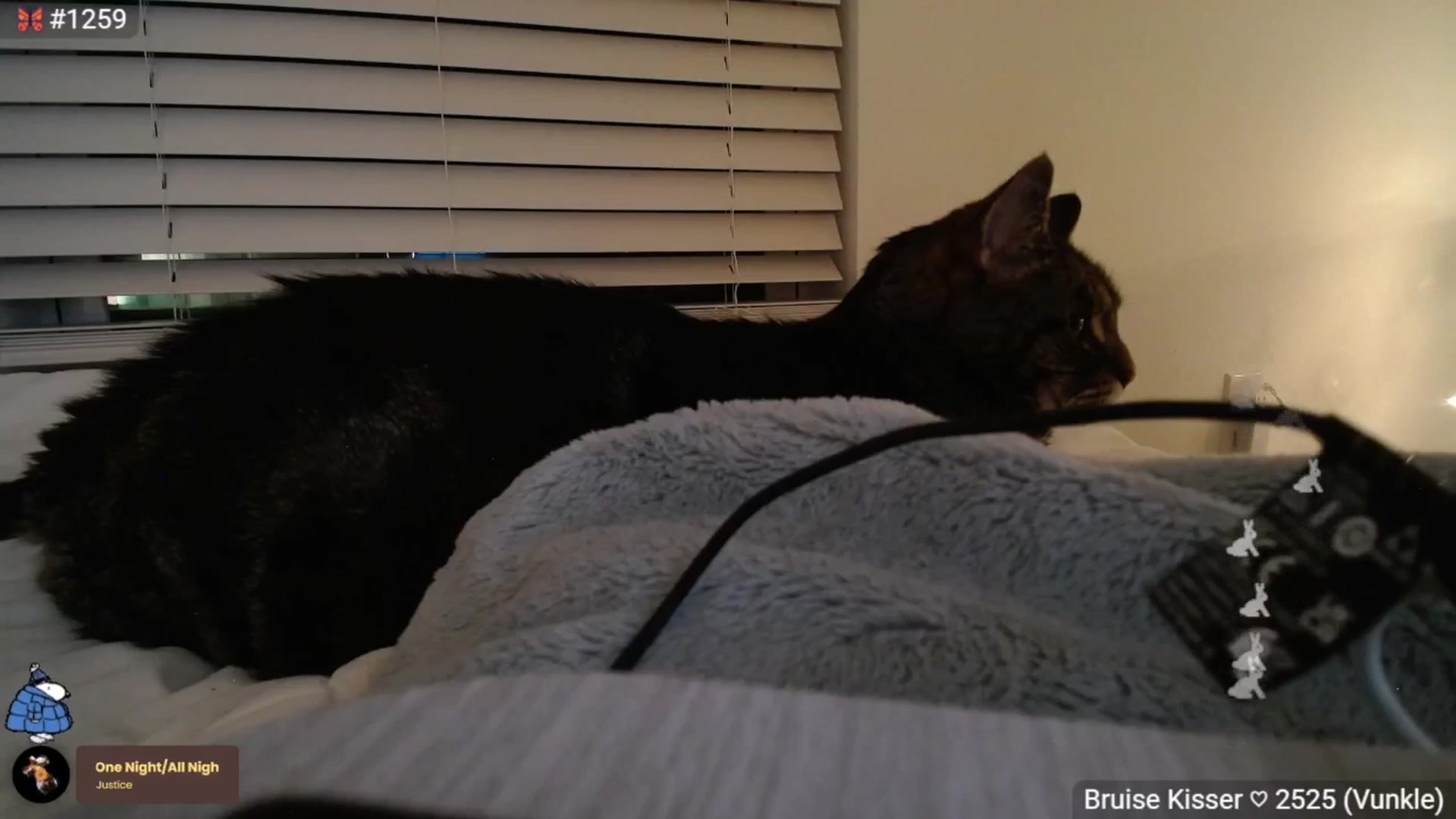 Gallery image thumbnail from ADRIANNNNNNN's myfreecams stream on, 07/29/2025, 02:17 image 15 of 20