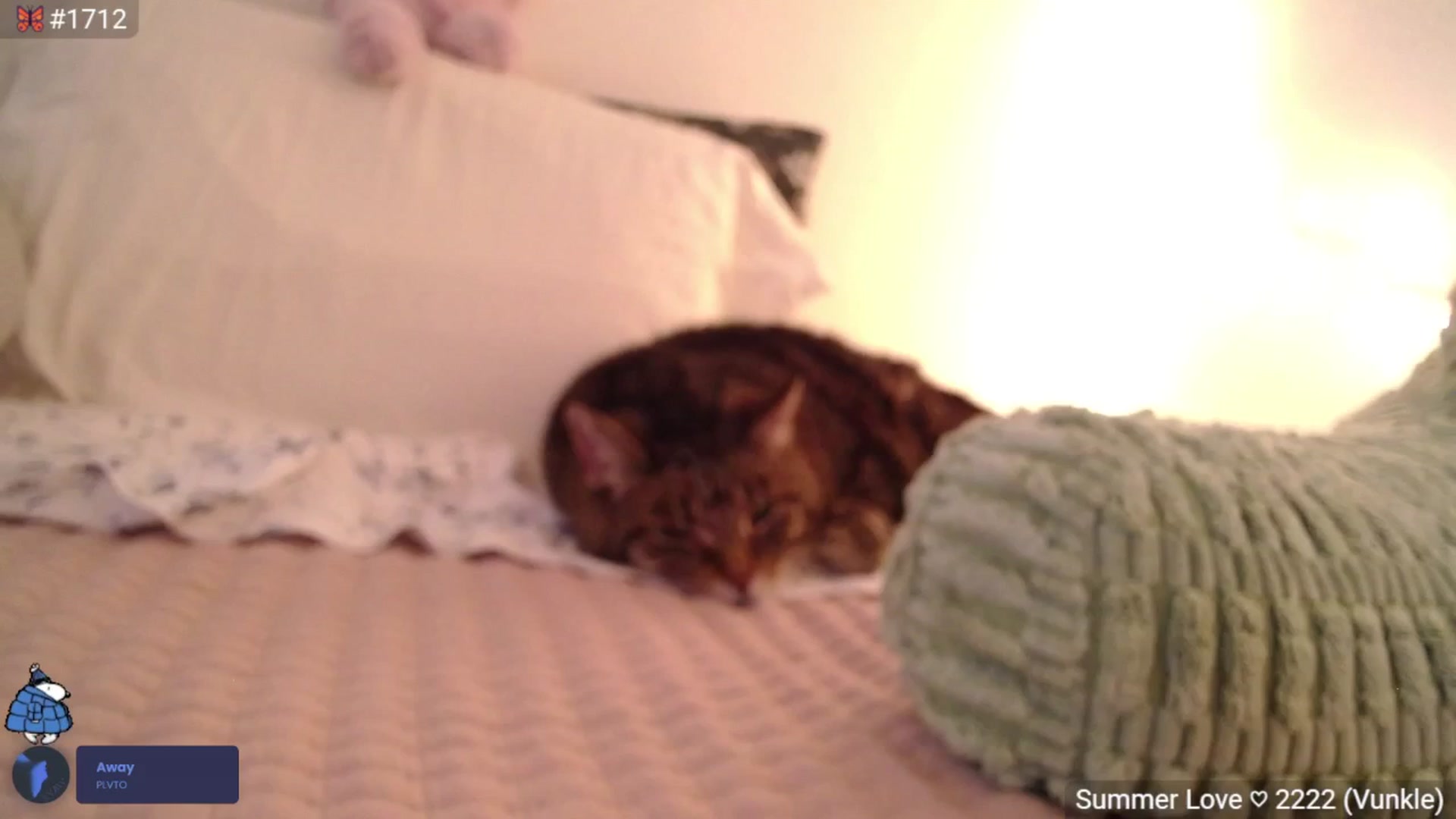 Gallery image thumbnail from ADRIANNNNNNN's myfreecams stream on, 08/15/2025, 03:38 image 19 of 20