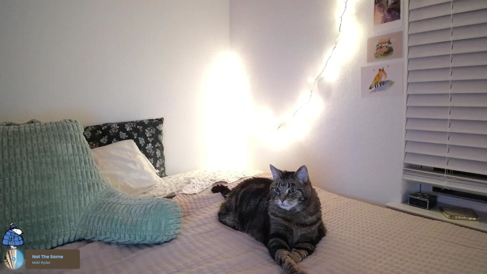 Gallery image thumbnail from ADRIANNNNNNN's myfreecams stream on, 08/26/2025, 03:25 image 16 of 20