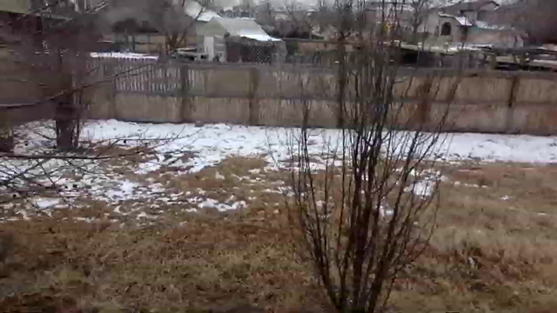 Gallery image thumbnail from AFoxBaby's myfreecams stream on, 01/20/2023, 22:56 image 11 of 20