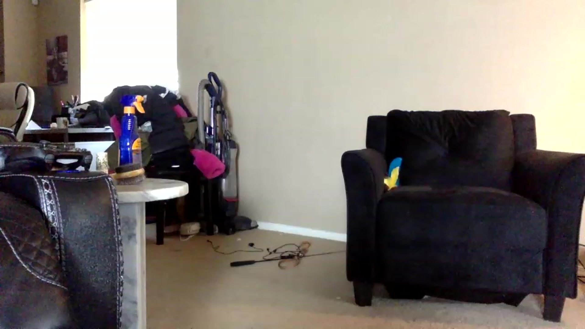 Gallery image thumbnail from AFoxBaby's myfreecams stream on, 01/20/2023, 22:56 image 20 of 20