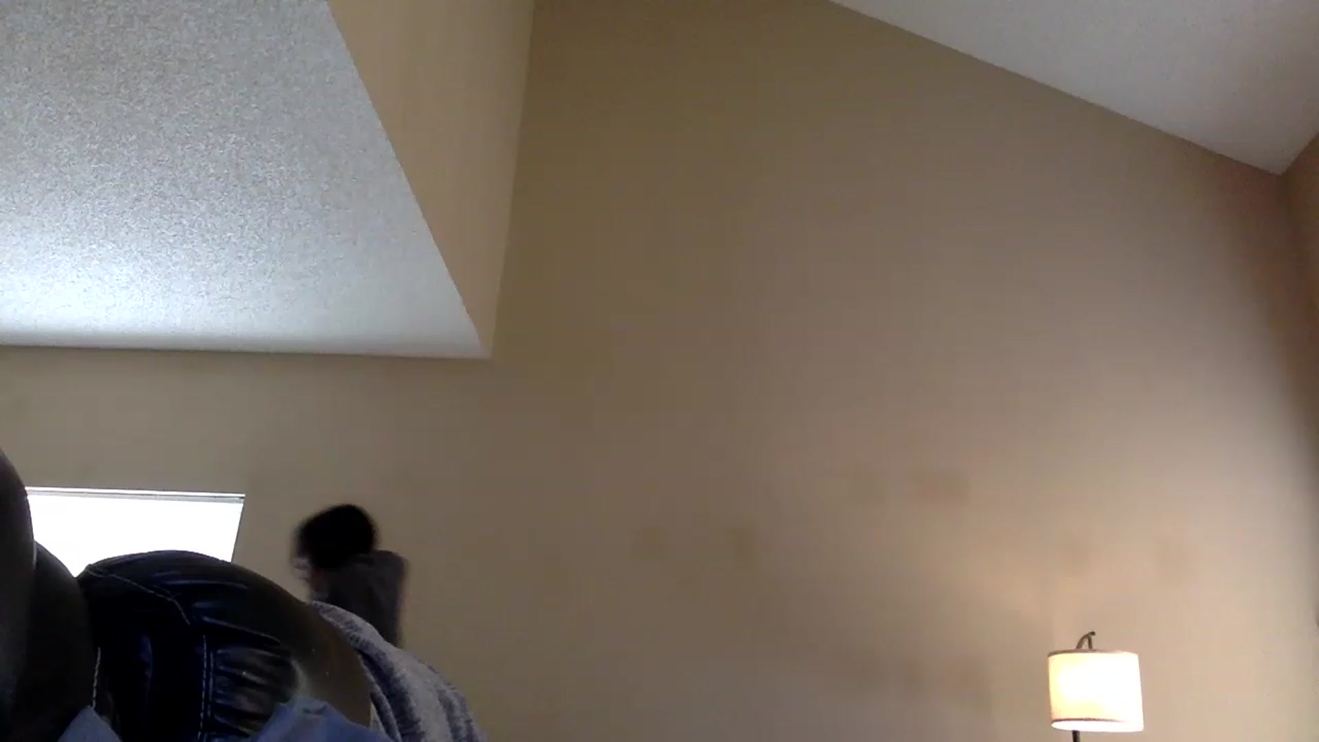 Gallery image thumbnail from AFoxBaby's myfreecams stream on, 01/28/2023, 20:09 image 4 of 20