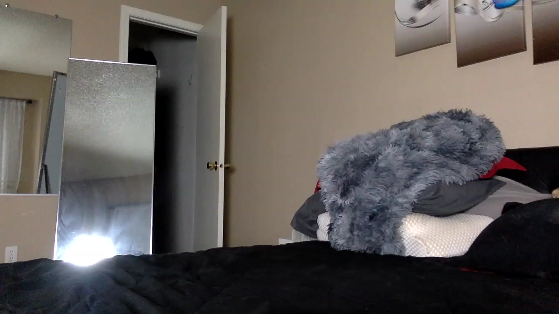 Gallery image thumbnail from AFoxBaby's myfreecams stream on, 01/30/2023, 02:22 image 9 of 20