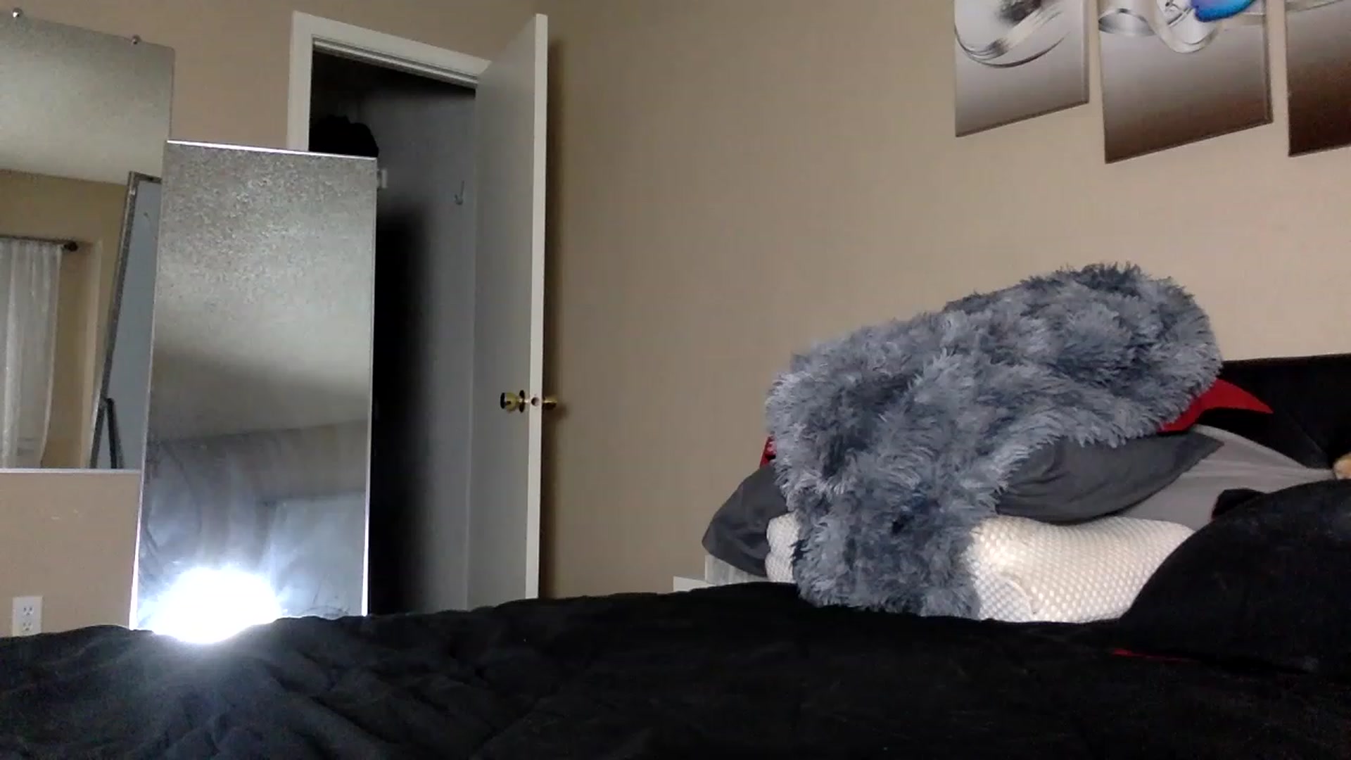 Gallery image thumbnail from AFoxBaby's myfreecams stream on, 01/30/2023, 02:22 image 8 of 20