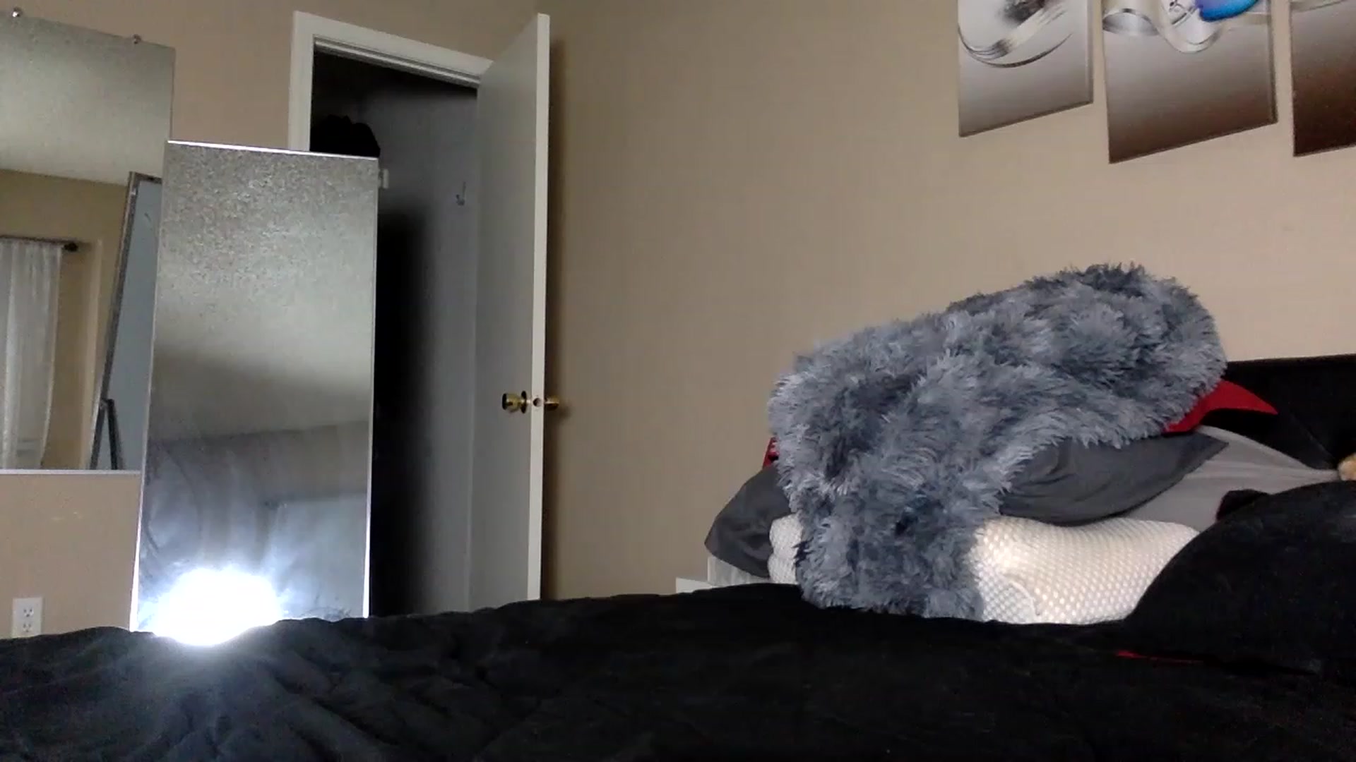 Gallery image thumbnail from AFoxBaby's myfreecams stream on, 01/30/2023, 02:22 image 7 of 20