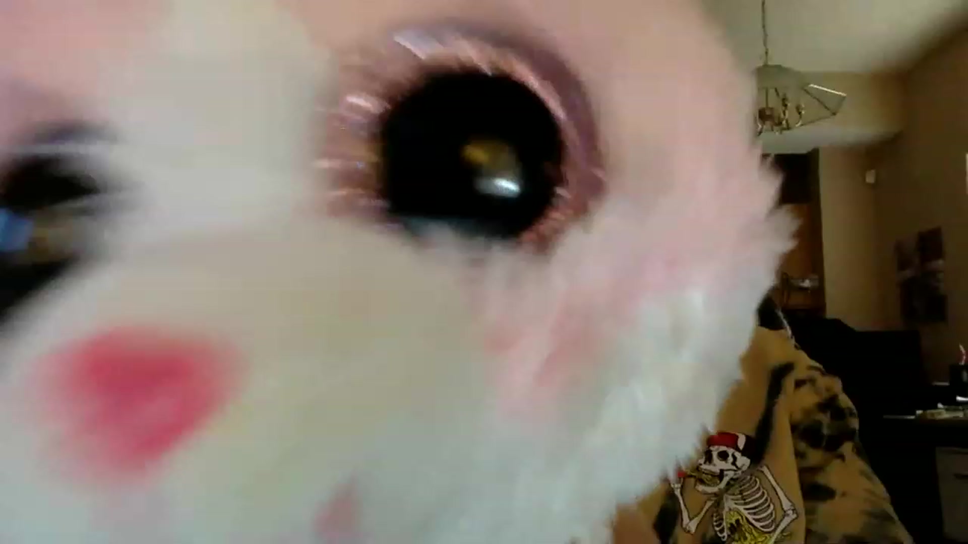 Gallery image thumbnail from AFoxBaby's myfreecams stream on, 02/06/2023, 20:57 image 7 of 20