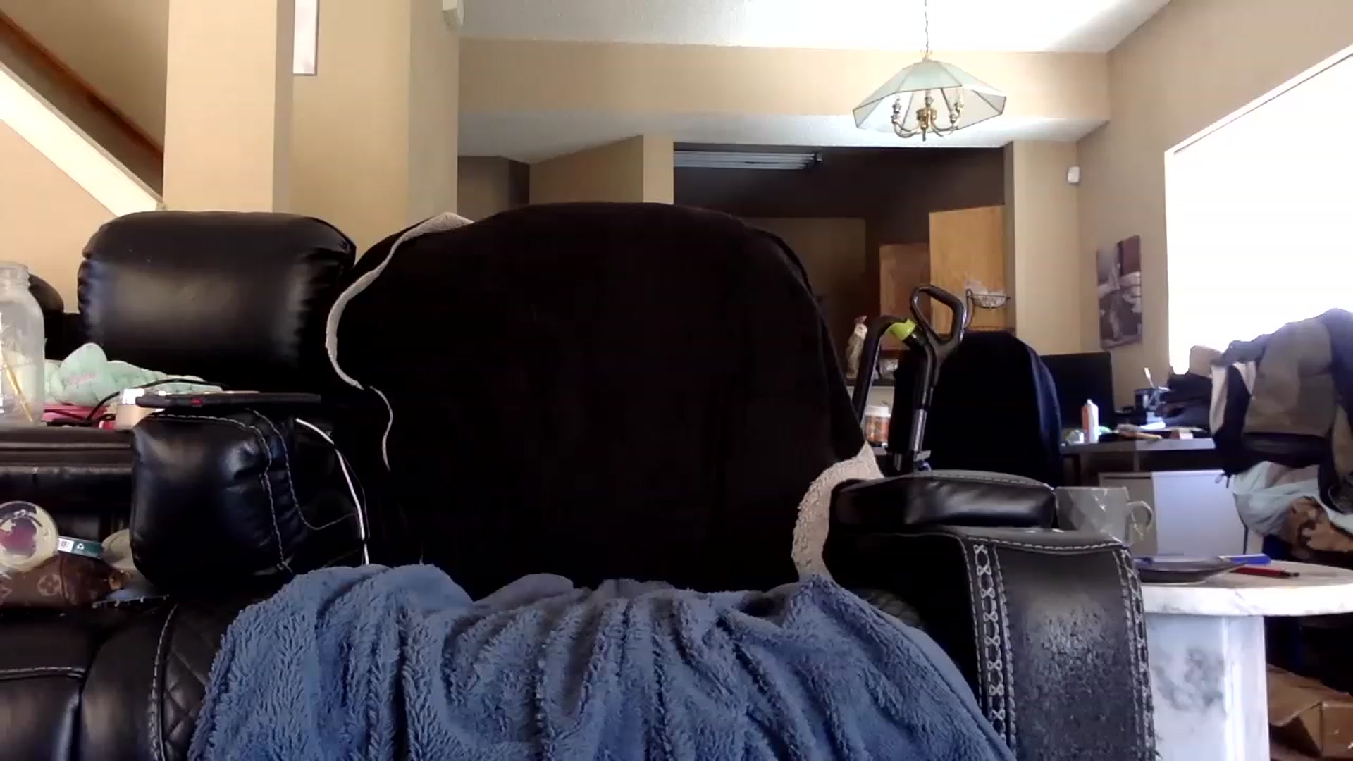 Gallery image thumbnail from AFoxBaby's myfreecams stream on, 02/23/2023, 20:28 image 3 of 20