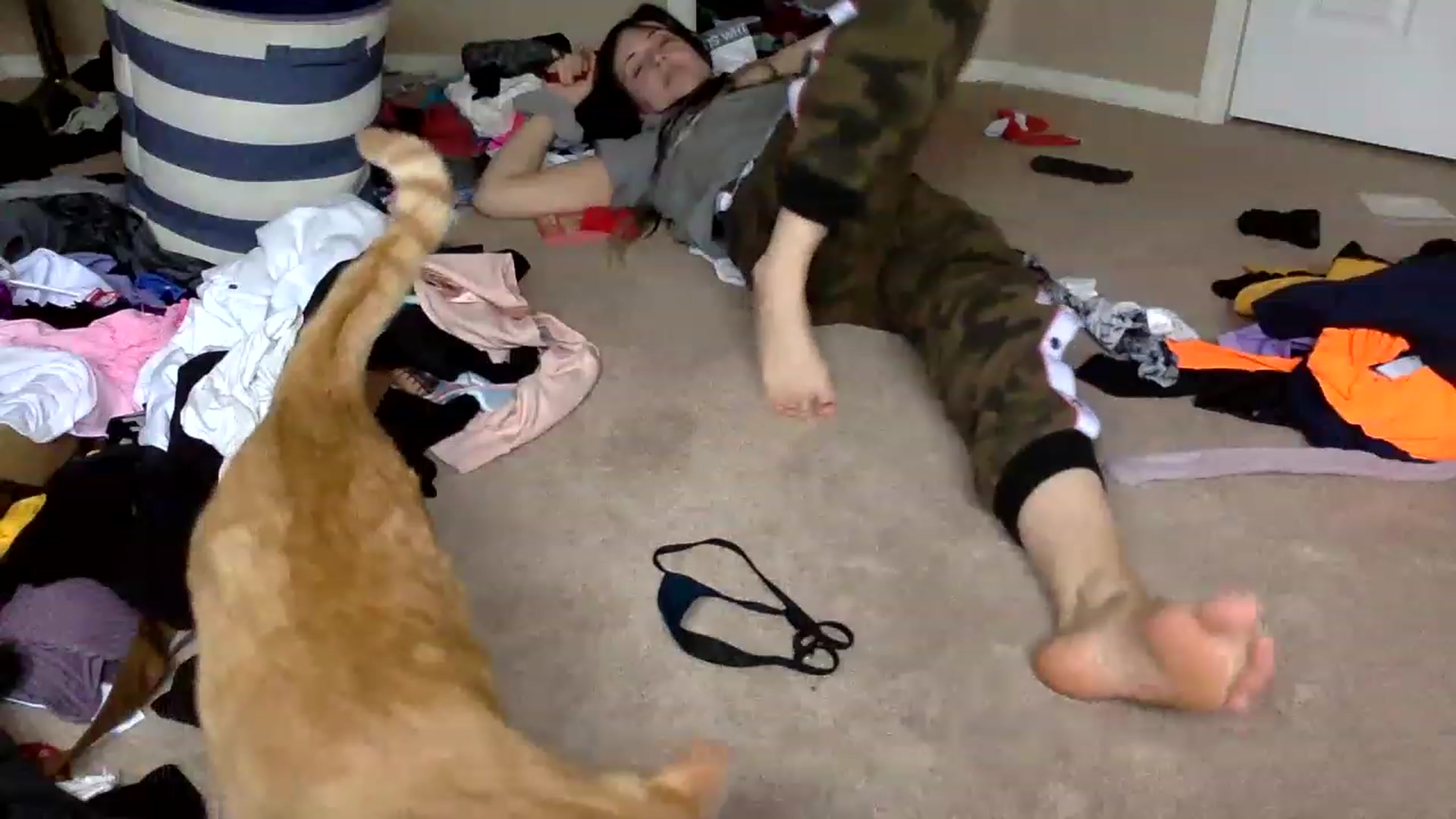 Gallery image thumbnail from AFoxBaby's myfreecams stream on, 03/07/2023, 16:24 image 9 of 20