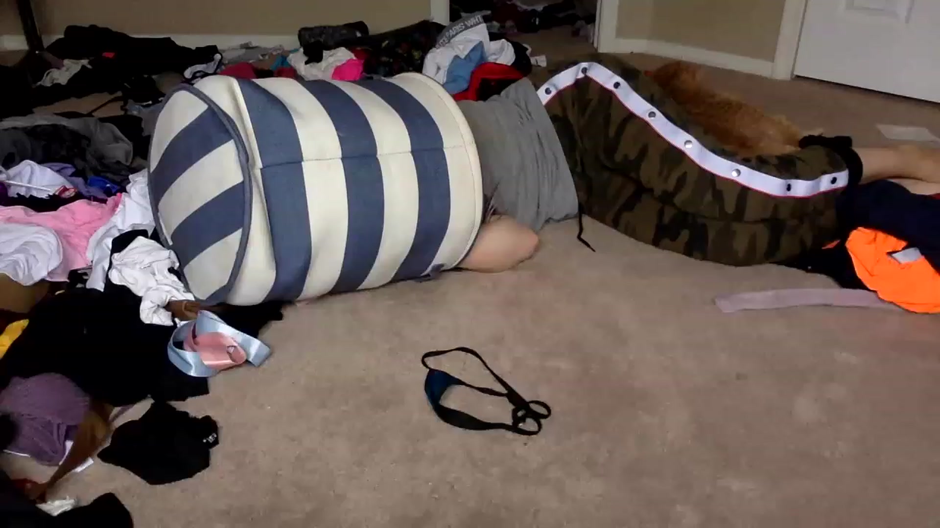 Gallery image thumbnail from AFoxBaby's myfreecams stream on, 03/07/2023, 16:24 image 10 of 20