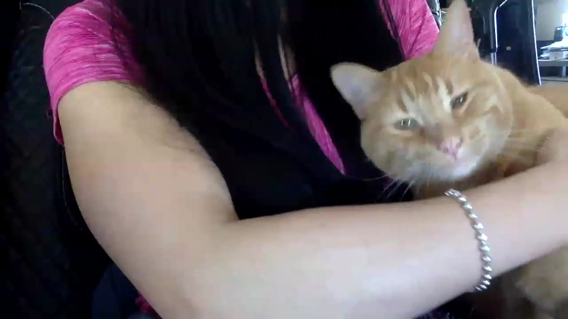 Gallery image thumbnail from AFoxBaby's myfreecams stream on, 04/02/2023, 18:24 image 12 of 20