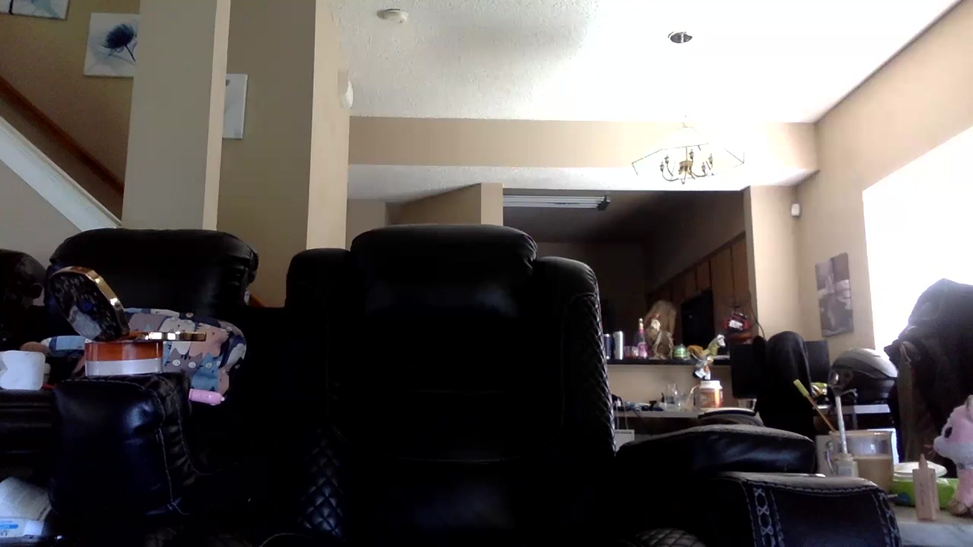 Gallery image thumbnail from AFoxBaby's myfreecams stream on, 07/14/2023, 18:28 image 2 of 20