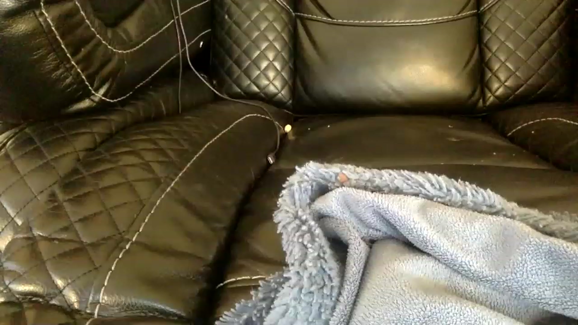 Gallery image thumbnail from AFoxBaby's myfreecams stream on, 08/15/2023, 21:30 image 14 of 20