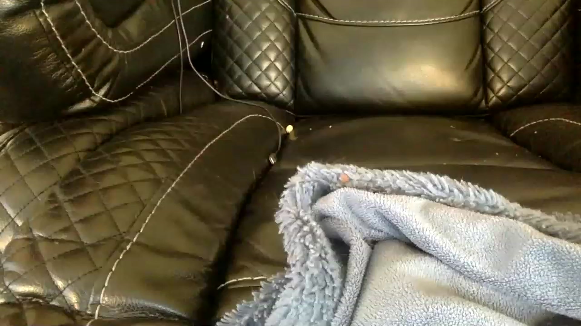 Gallery image thumbnail from AFoxBaby's myfreecams stream on, 08/15/2023, 21:30 image 15 of 20