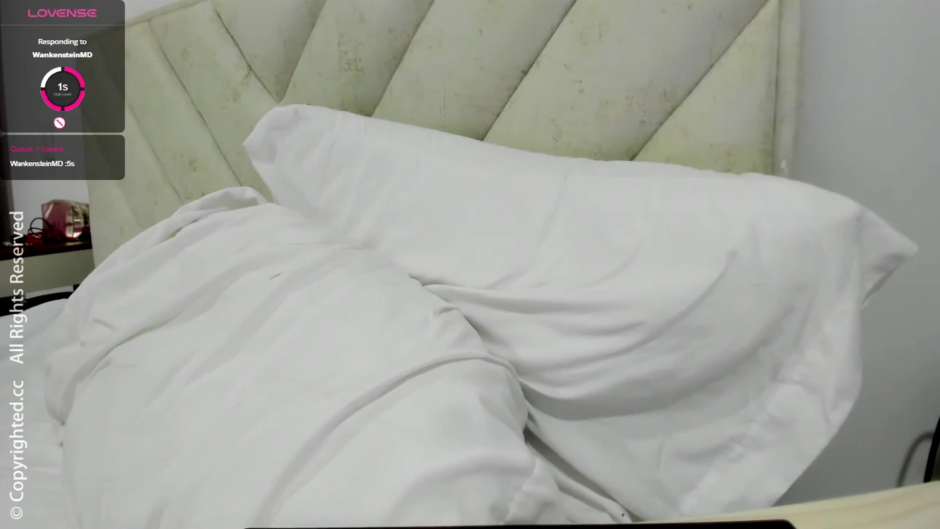 Gallery image thumbnail from AI_Deep_Dream's myfreecams stream on, 08/03/2024, 24:44 image 2 of 20