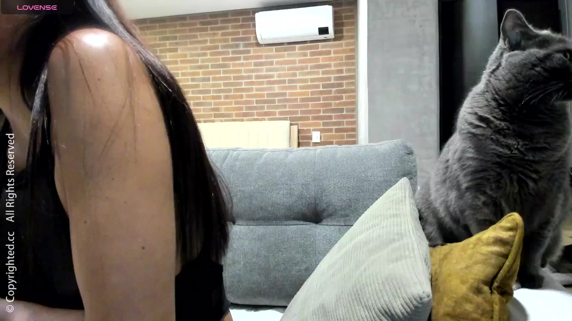 Gallery image thumbnail from AI_Deep_Dream's myfreecams stream on, 08/18/2025, 05:42 image 10 of 20