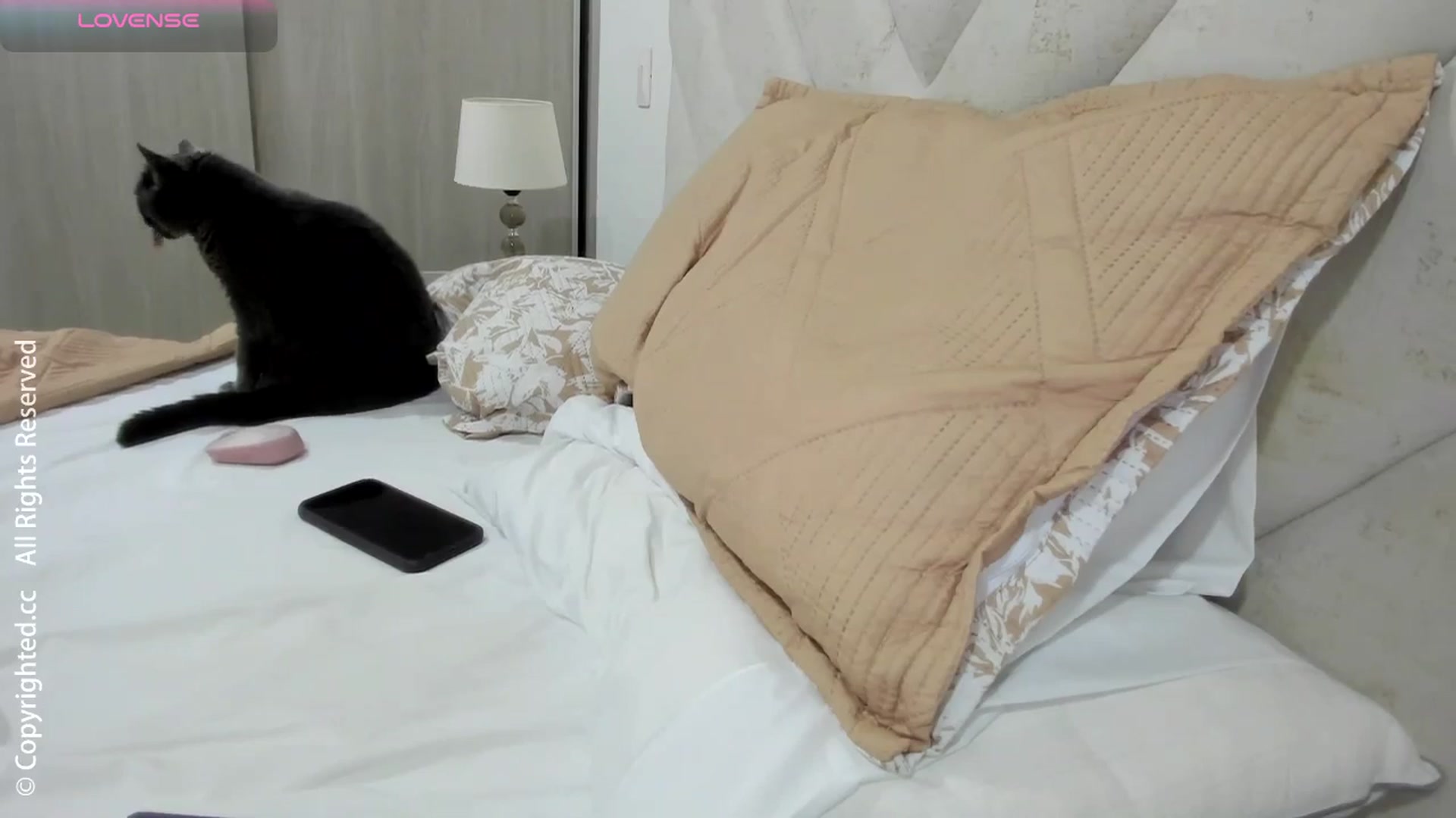 Gallery image thumbnail from AI_Deep_Dream's myfreecams stream on, 10/20/2025, 04:21 image 10 of 20