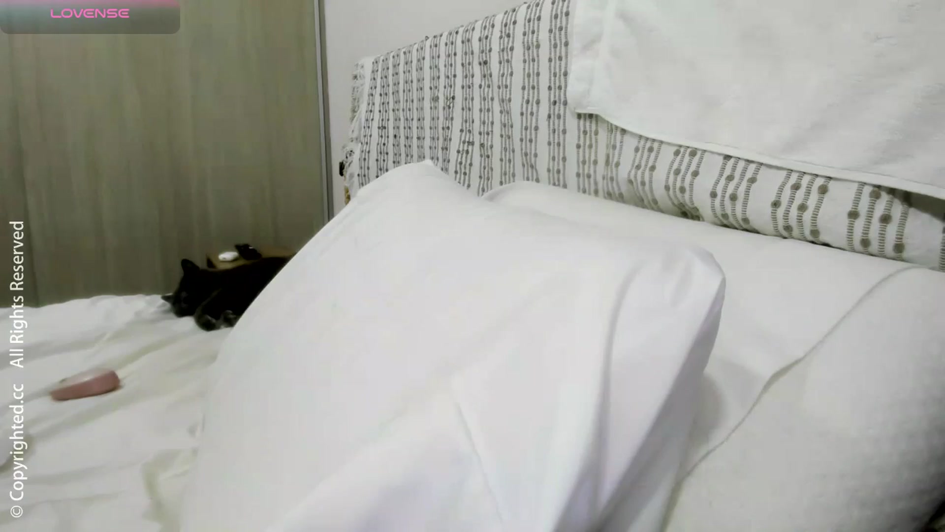 Gallery image thumbnail from AI_Deep_Dream's myfreecams stream on, 12/27/2025, 04:18 image 19 of 20