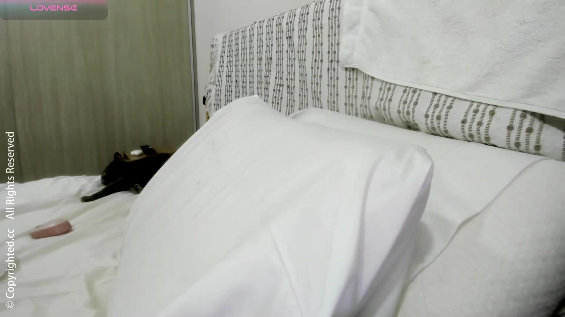 Gallery image thumbnail from AI_Deep_Dream's myfreecams stream on, 12/27/2025, 04:18 image 20 of 20