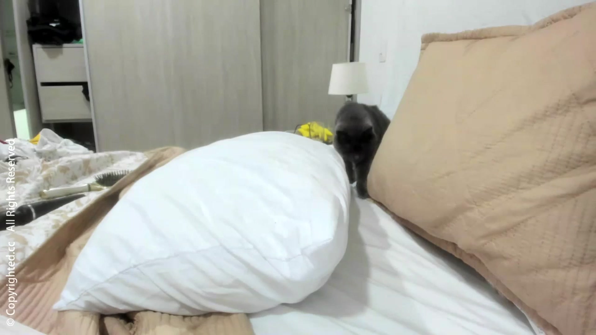 Gallery image thumbnail from AI_Deep_Dream's myfreecams stream on, 01/27/2026, 03:03 image 17 of 20