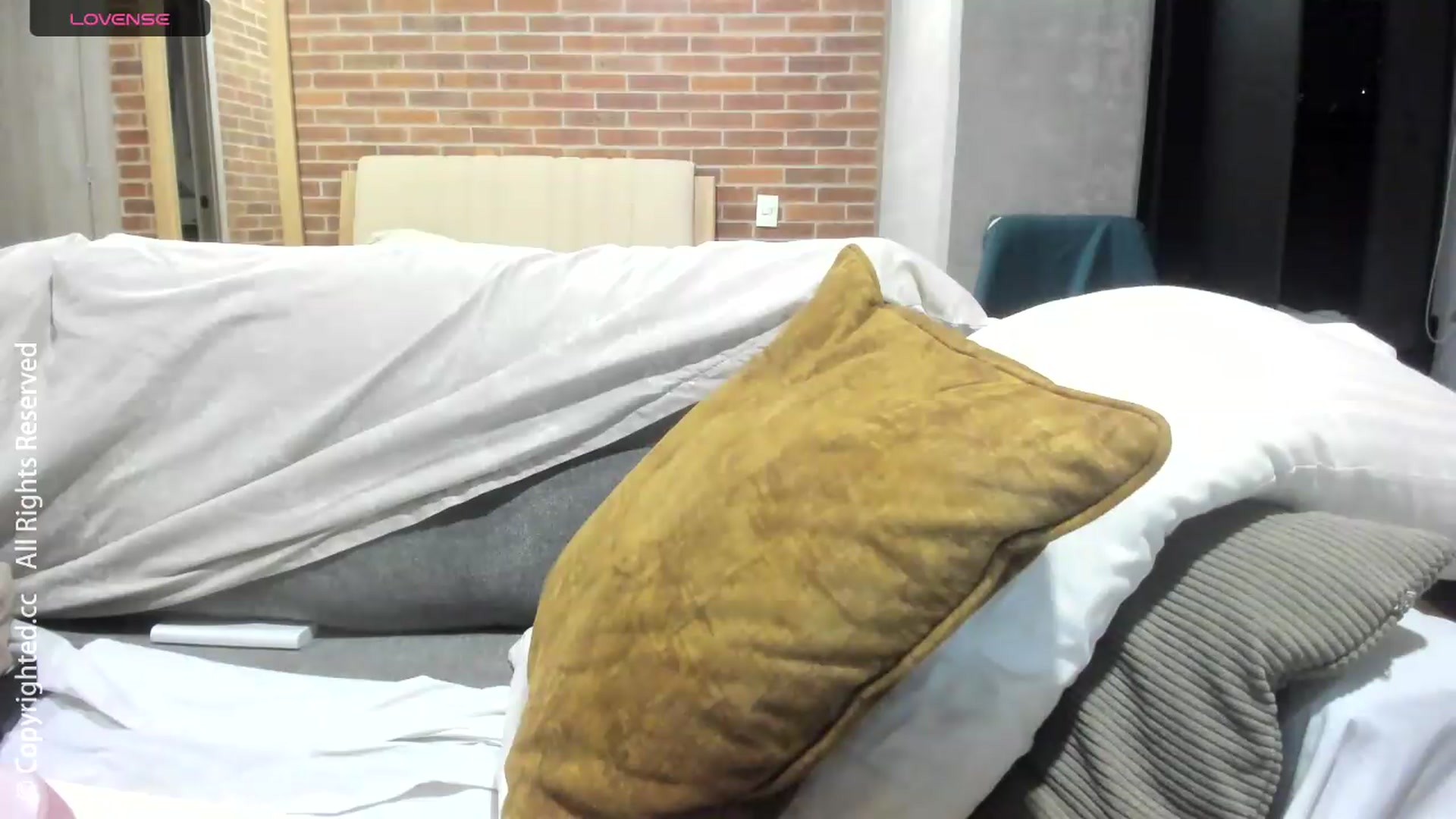 Gallery image thumbnail from AI_Deep_Dream's myfreecams stream on, 08/07/2026, 04:44 image 17 of 20