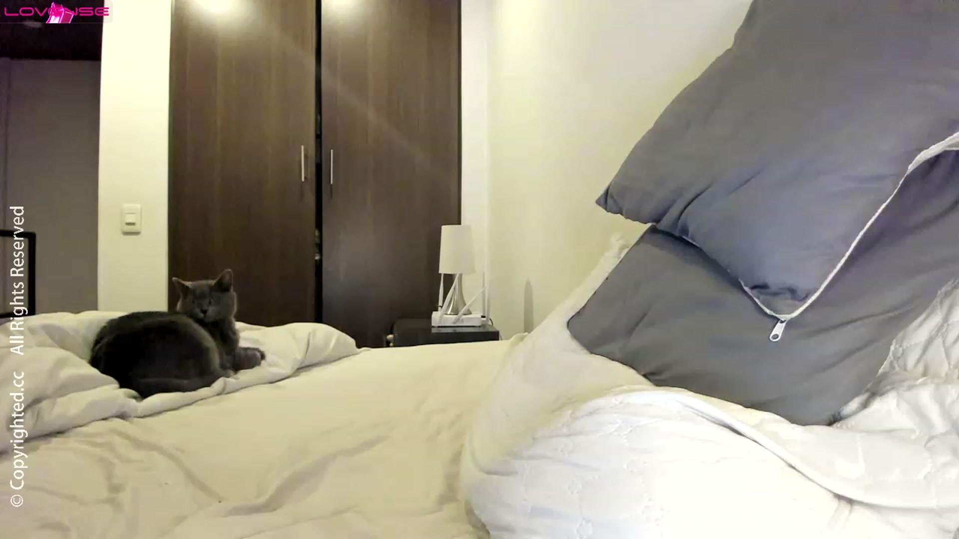 Gallery image thumbnail from AI_VsGpt's myfreecams stream on, 07/11/2023, 24:04 image 18 of 20