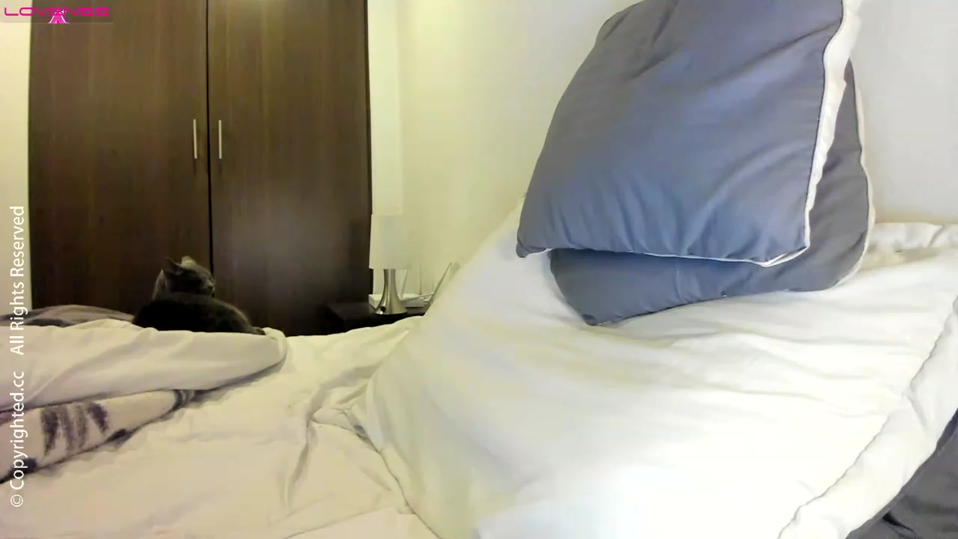 Gallery image thumbnail from AI_VsGpt's myfreecams stream on, 08/14/2023, 01:47 image 20 of 20