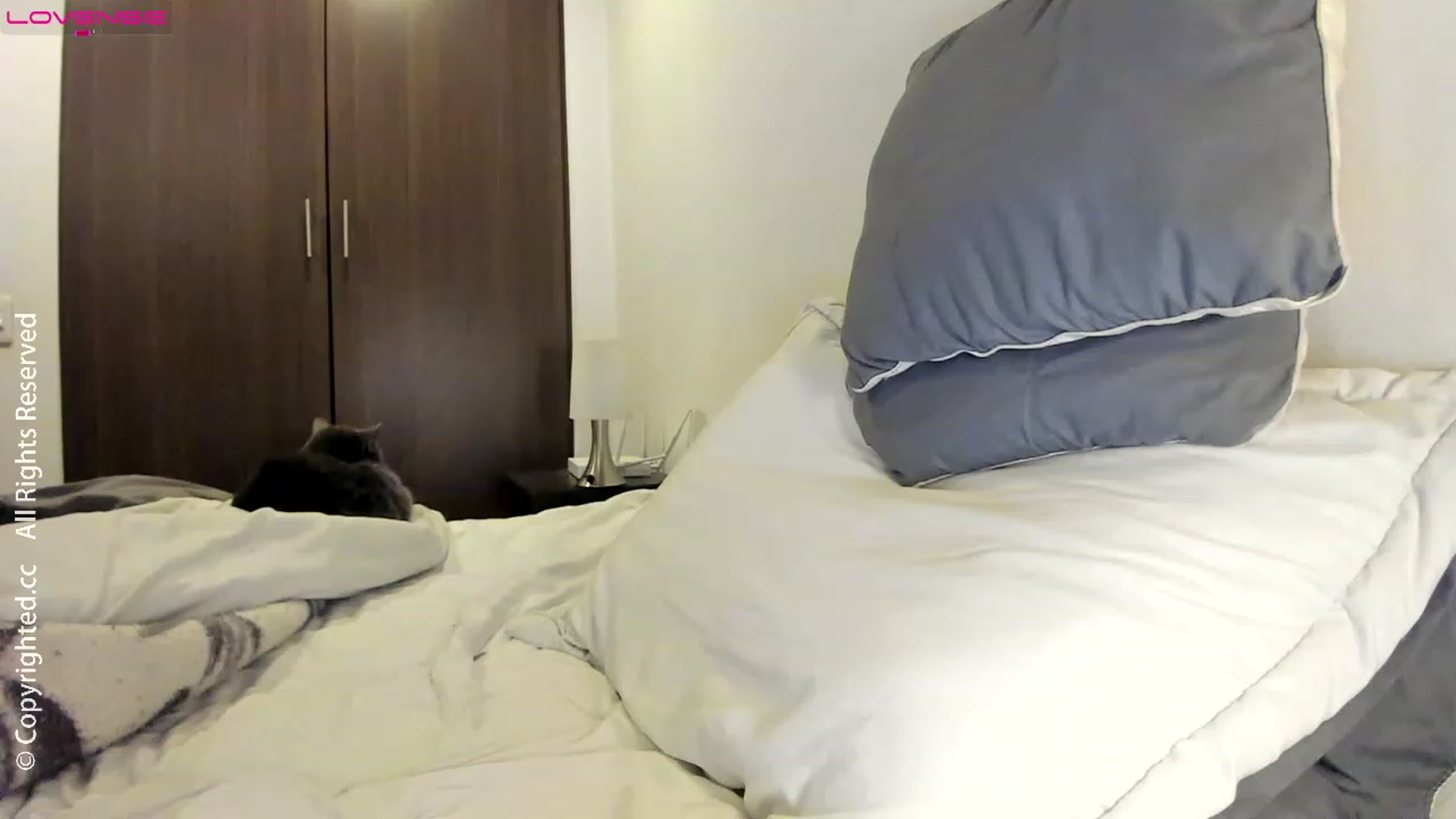 Gallery image thumbnail from AI_VsGpt's myfreecams stream on, 08/14/2023, 01:47 image 14 of 20