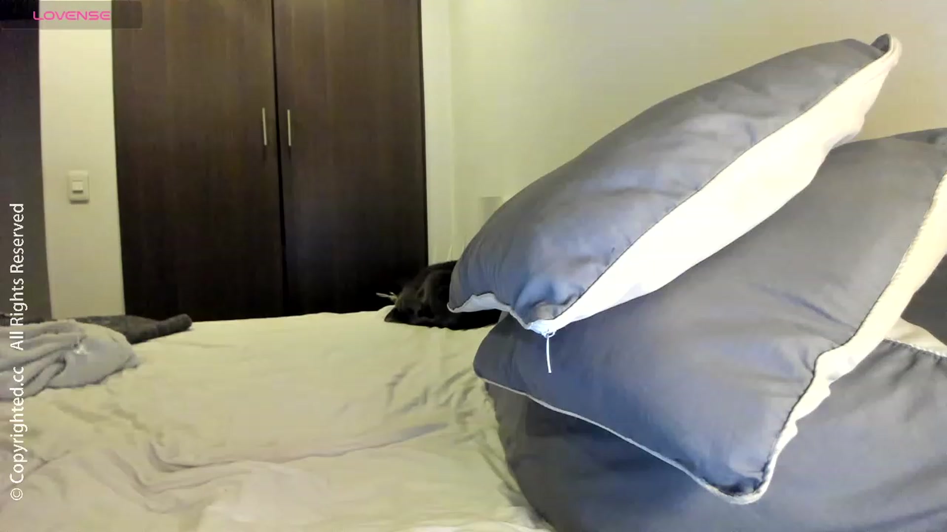 Gallery image thumbnail from AI_VsGpt's myfreecams stream on, 09/04/2023, 05:01 image 1 of 20