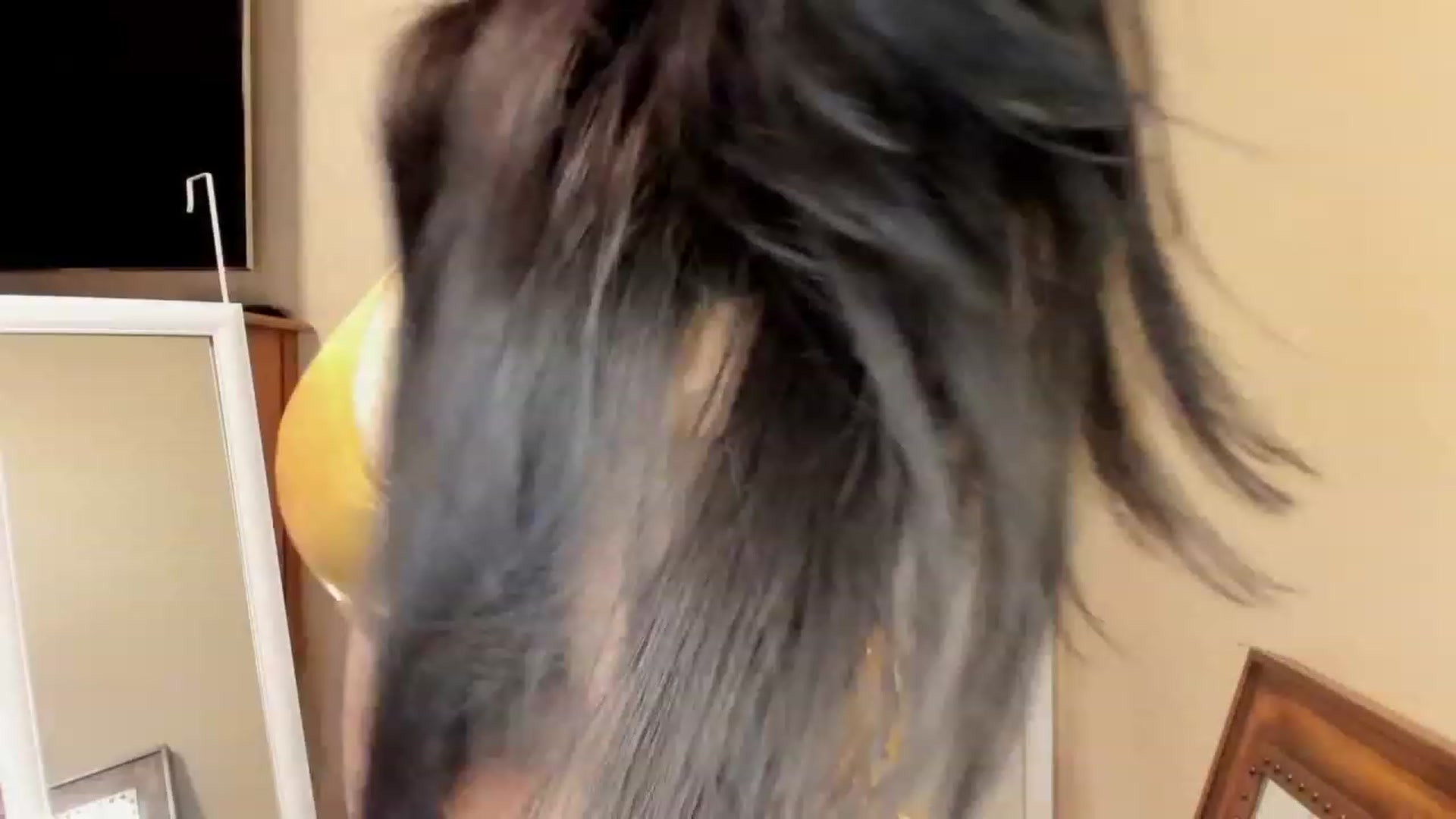 Gallery image thumbnail from AJoyfulBarbie's myfreecams stream on, 02/17/2023, 05:46 image 1 of 20