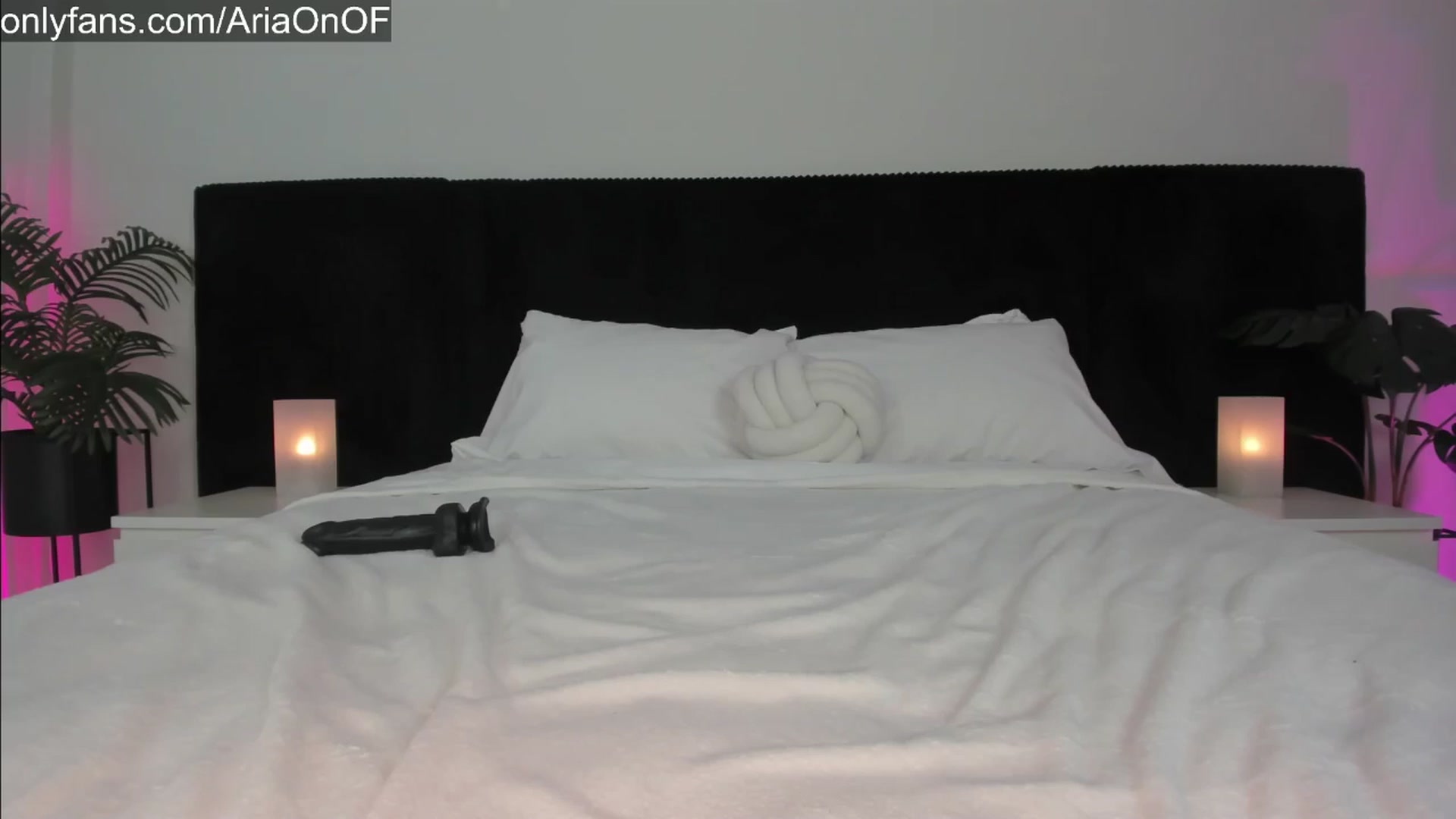 Gallery image thumbnail from ARIAllure's myfreecams stream on, 08/01/2025, 02:48 image 19 of 20