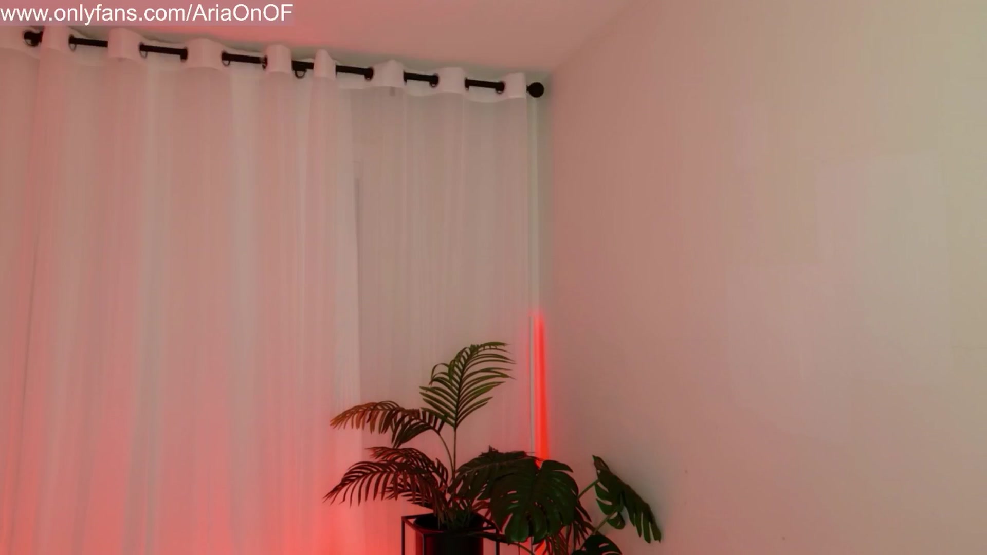 Gallery image thumbnail from ARIAllure's myfreecams stream on, 01/17/2026, 04:02 image 4 of 20