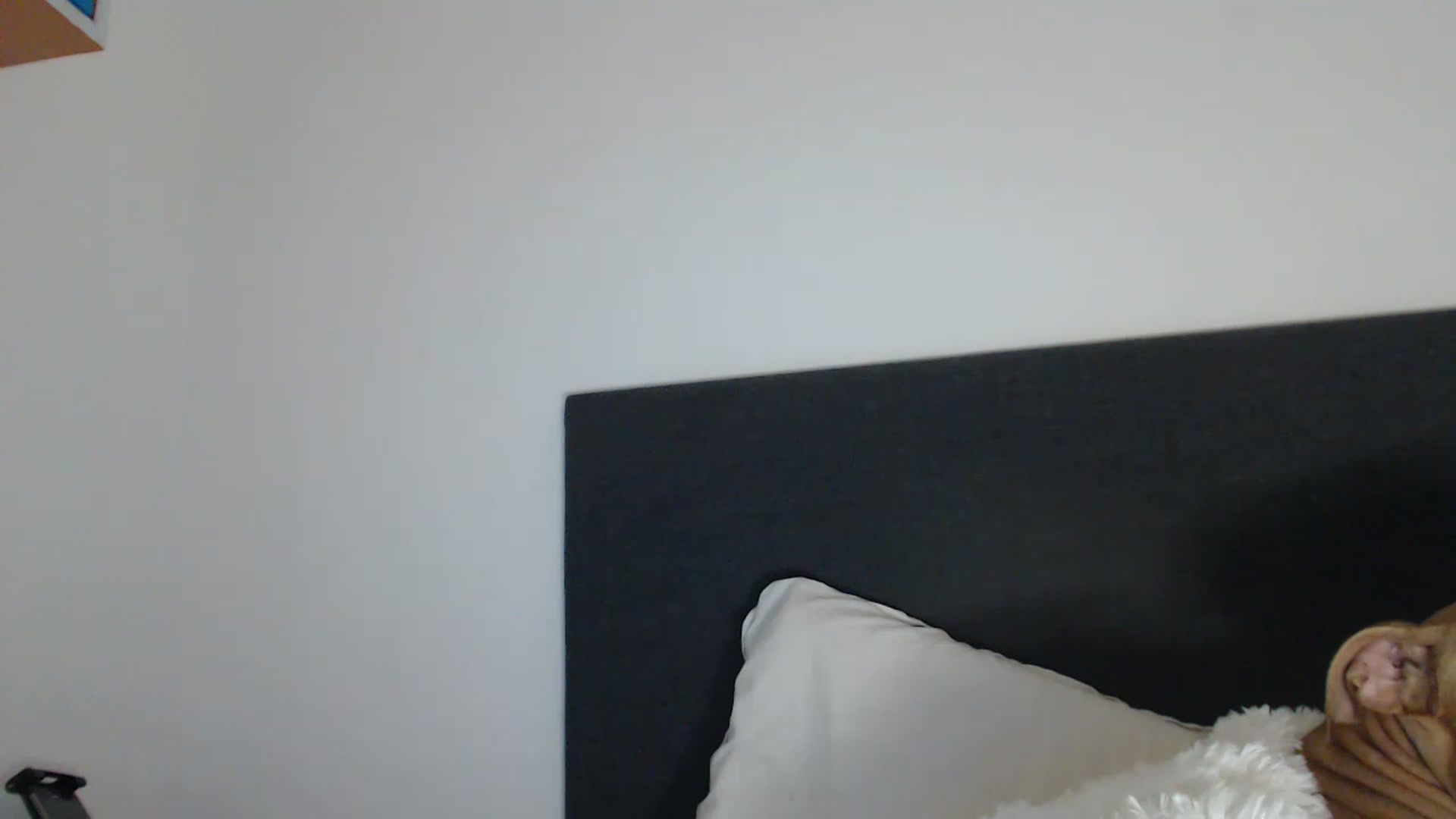 Gallery image thumbnail from ASweetJessie's myfreecams stream on, 12/09/2022, 18:08 image 19 of 20