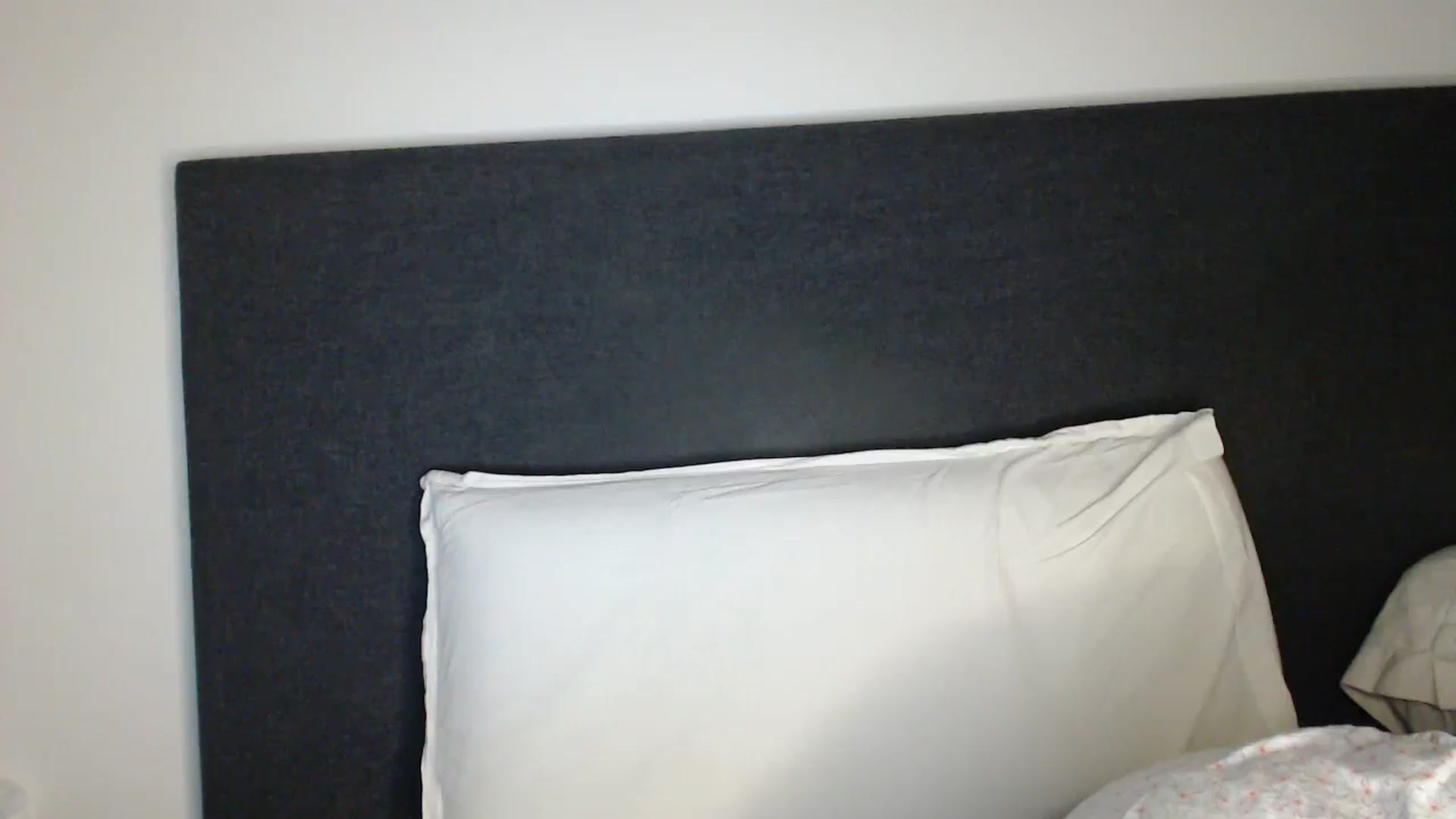 Gallery image thumbnail from ASweetJessie's myfreecams stream on, 09/27/2023, 17:03 image 11 of 20