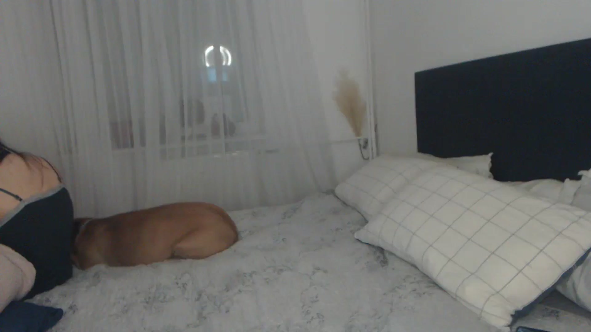 Gallery image thumbnail from ASweetJessie's myfreecams stream on, 04/15/2024, 15:31 image 2 of 20