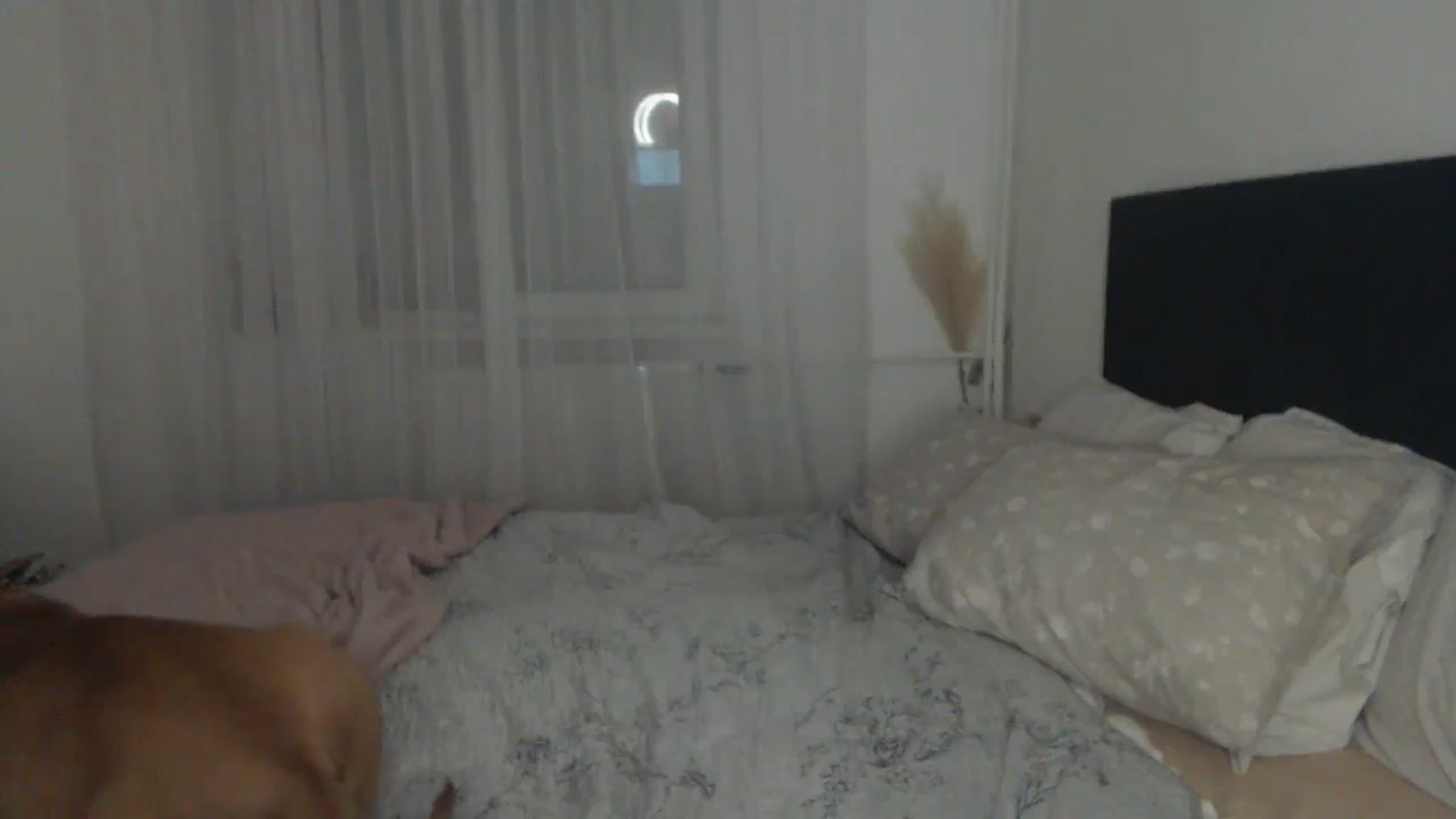 Gallery image thumbnail from ASweetJessie's myfreecams stream on, 05/11/2024, 17:11 image 19 of 20