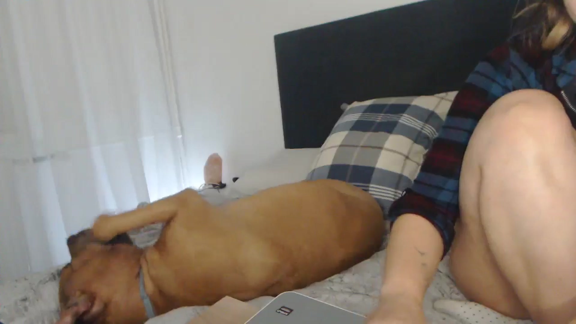 Gallery image thumbnail from ASweetJessie's myfreecams stream on, 05/30/2024, 17:00 image 19 of 20