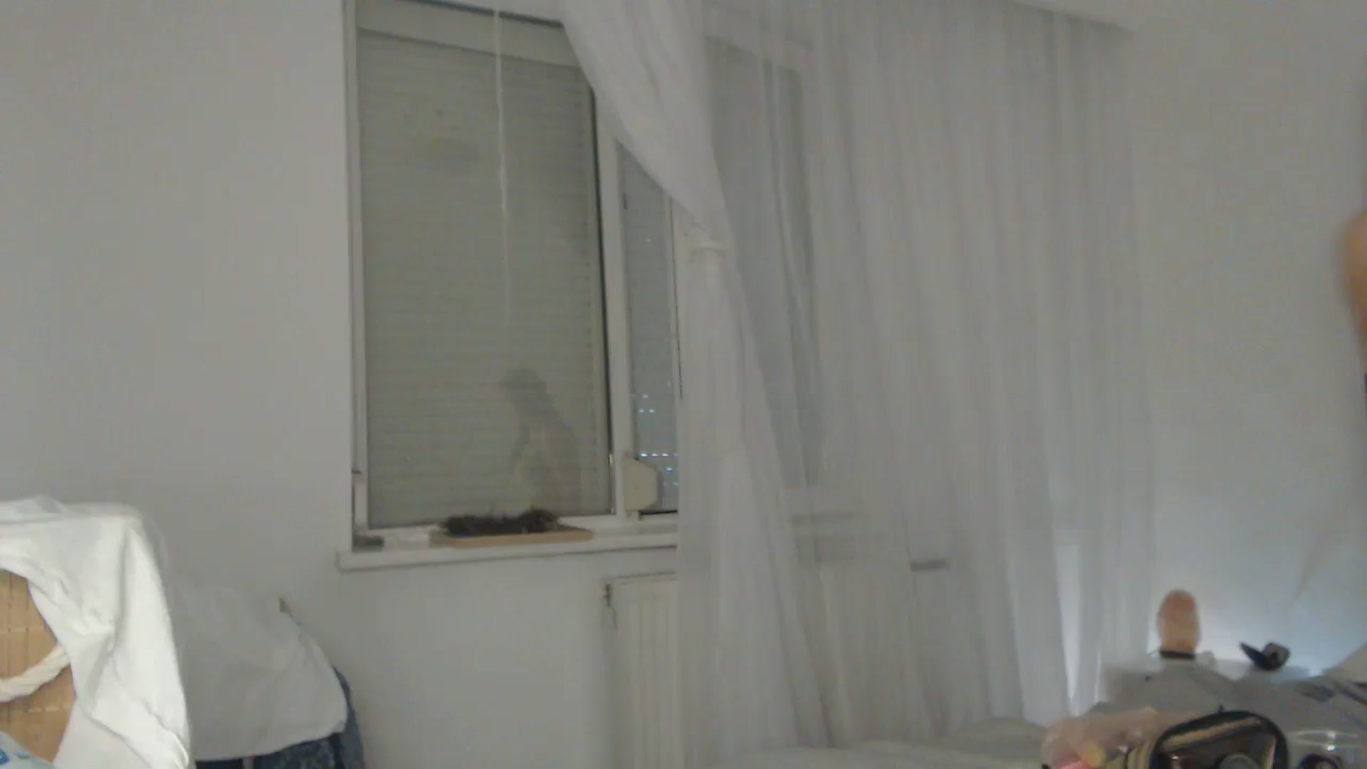Gallery image thumbnail from ASweetJessie's myfreecams stream on, 07/31/2024, 17:47 image 14 of 20