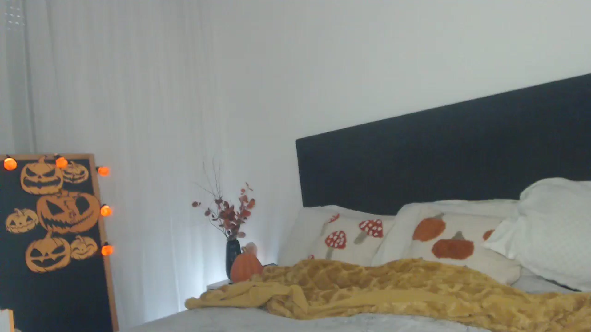 Gallery image thumbnail from ASweetJessie's myfreecams stream on, 10/15/2024, 14:03 image 5 of 20