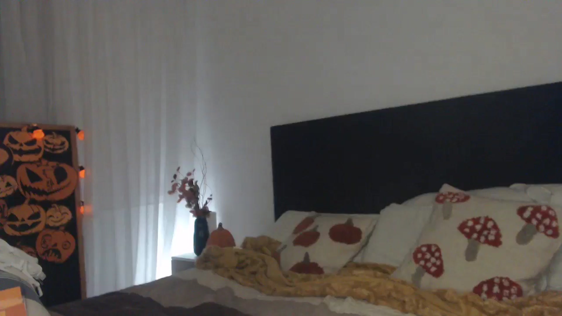 Gallery image thumbnail from ASweetJessie's myfreecams stream on, 10/30/2024, 20:28 image 9 of 20