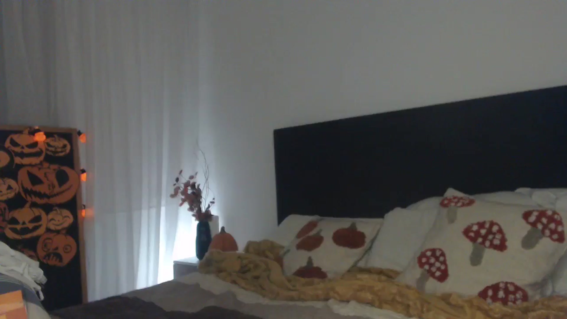 Gallery image thumbnail from ASweetJessie's myfreecams stream on, 10/30/2024, 20:28 image 10 of 20