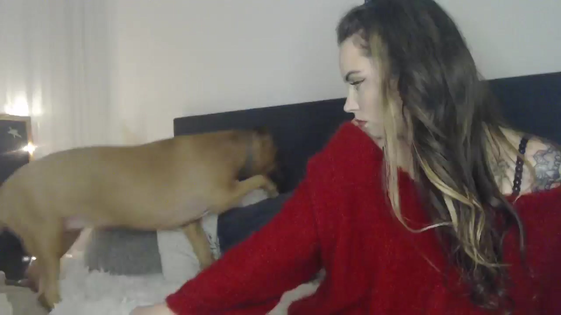 Gallery image thumbnail from ASweetJessie's myfreecams stream on, 01/31/2025, 15:35 image 3 of 20