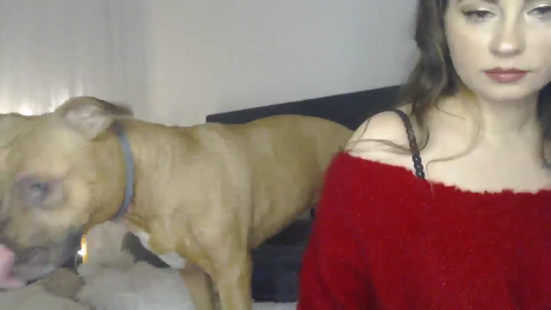 Gallery image thumbnail from ASweetJessie's myfreecams stream on, 01/31/2025, 15:35 image 11 of 20