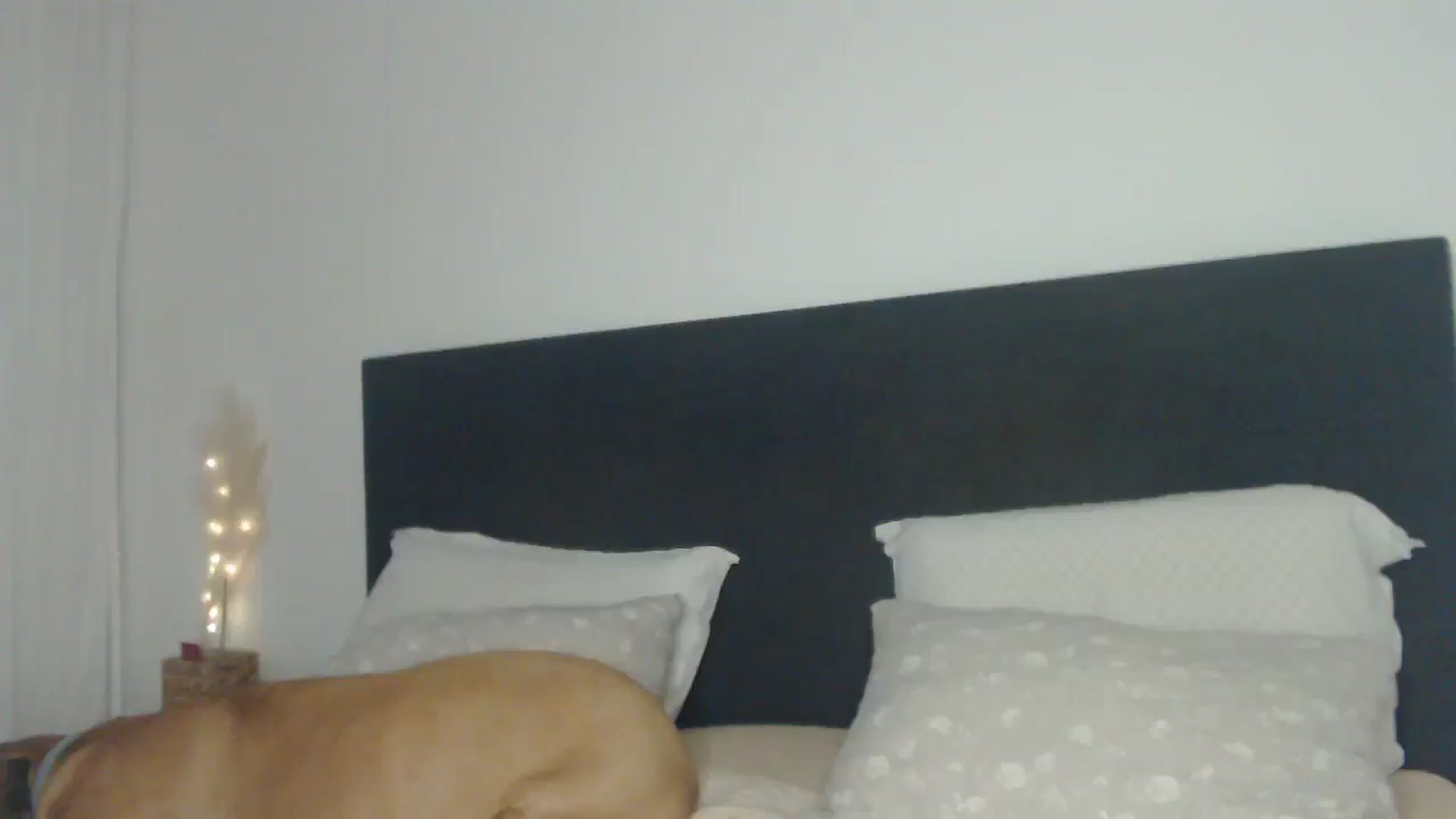 Gallery image thumbnail from ASweetJessie's myfreecams stream on, 03/23/2025, 17:02 image 6 of 20