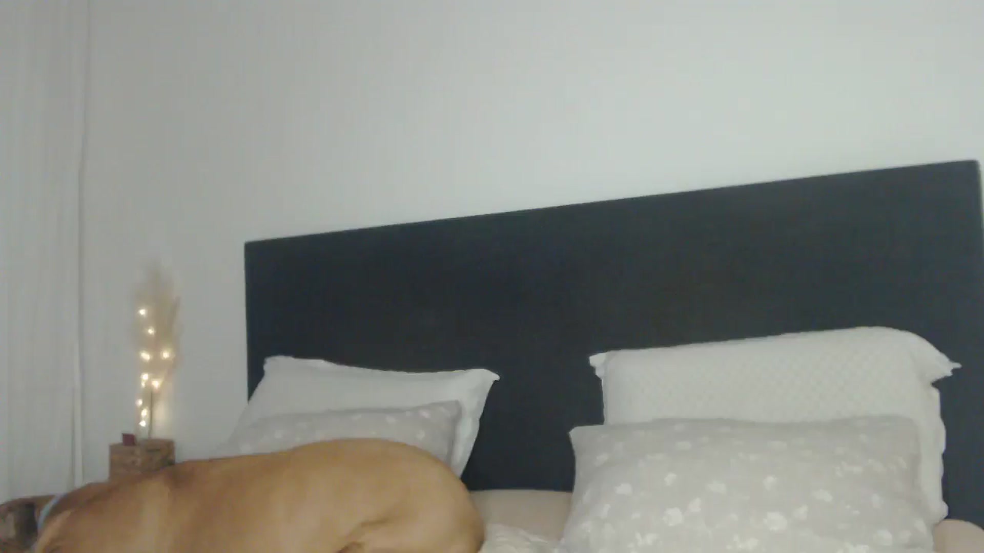 Gallery image thumbnail from ASweetJessie's myfreecams stream on, 03/23/2025, 17:02 image 18 of 20