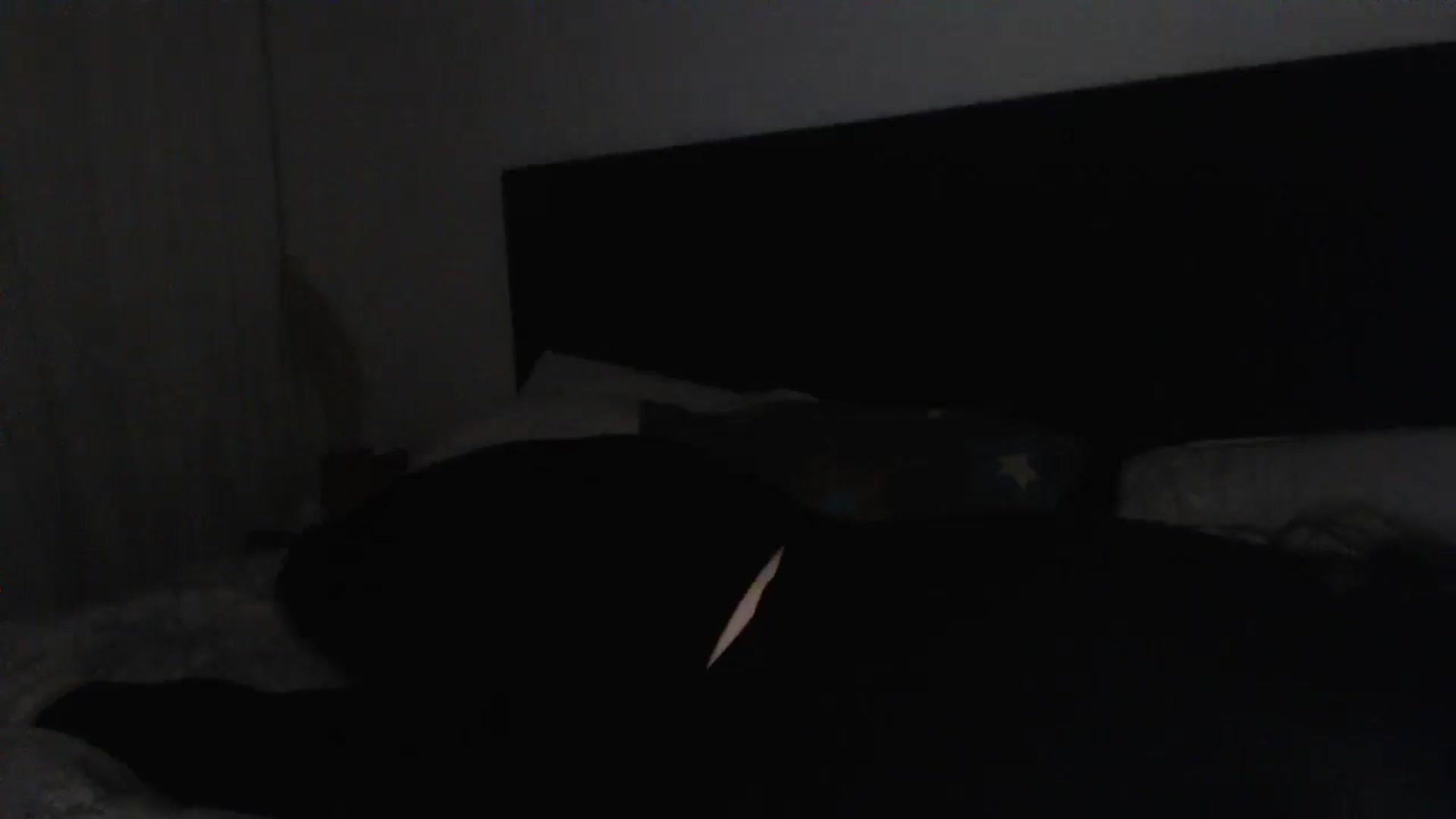 Gallery image thumbnail from ASweetJessie's myfreecams stream on, 05/27/2025, 19:03 image 13 of 20