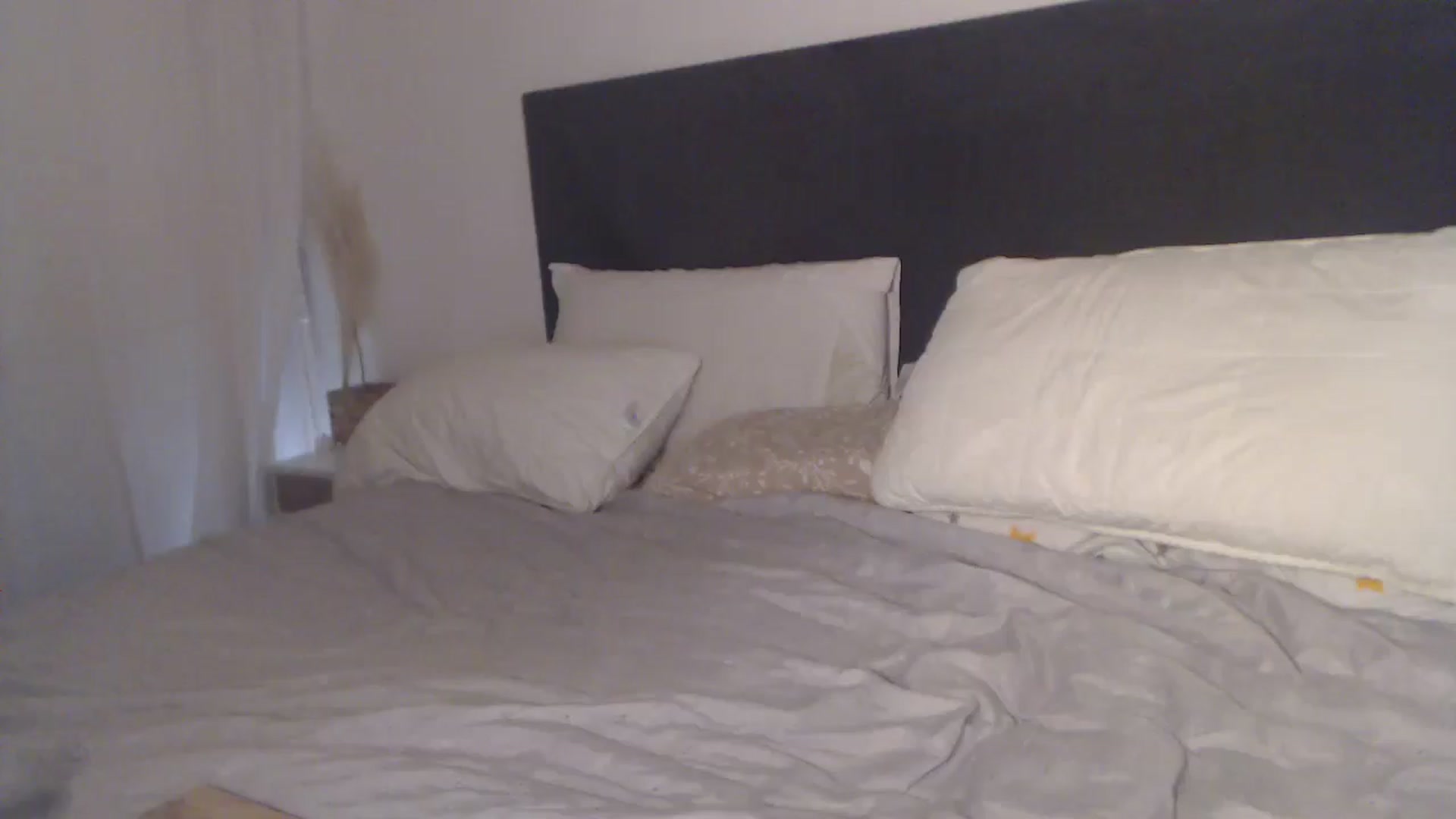 Gallery image thumbnail from ASweetJessie's myfreecams stream on, 08/11/2025, 18:51 image 9 of 20