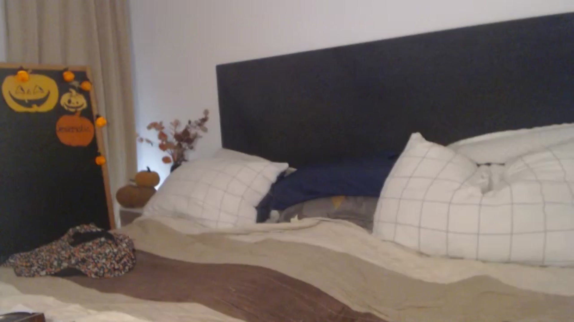 Gallery image thumbnail from ASweetJessie's myfreecams stream on, 10/11/2025, 18:59 image 20 of 20